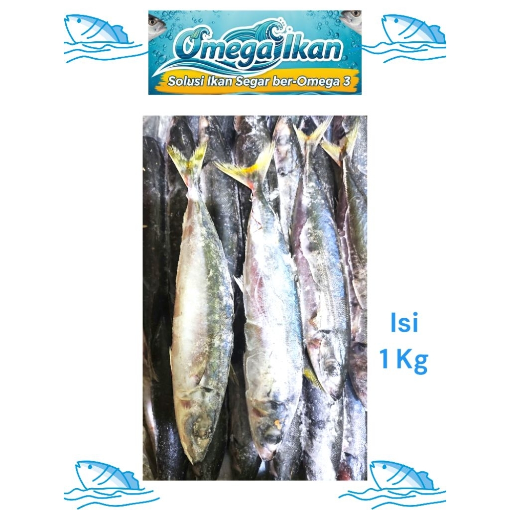 

IKAN LAYANG SEGAR FROZEN CISEENG PARUNG