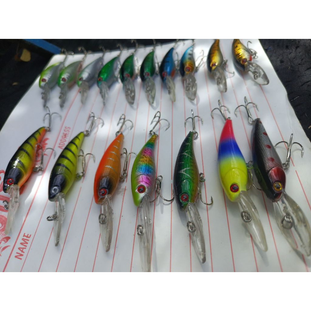 Minnow Floating Trolling