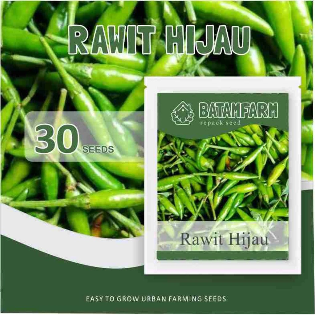 Benih Biji Bibit Cabai Rawit Hijau