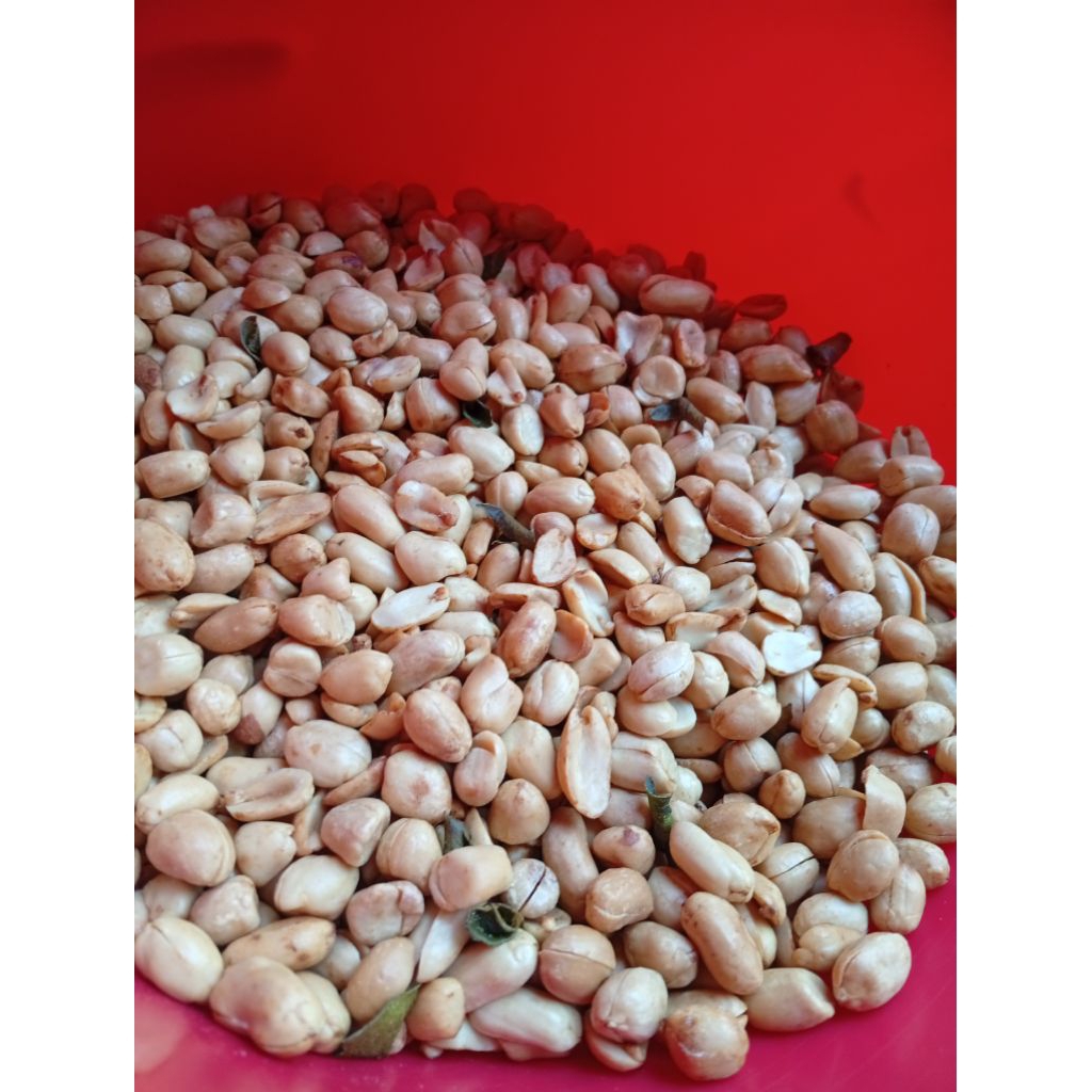 

kacang bawang SIDO REMEN