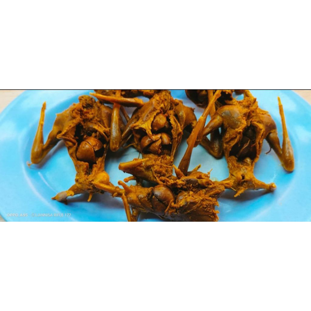 

PAKET HEMAT DAGING KELELAWAR/CODOT UNGKEB PER 10 EKOR- DAGING KELELAWAR BERHASIAT