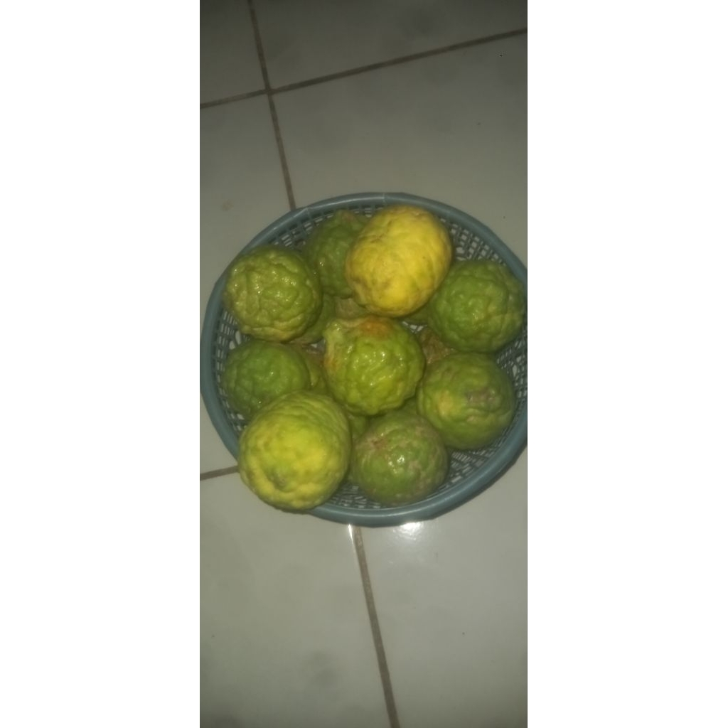 

jeruk purut grade c 1 kg
