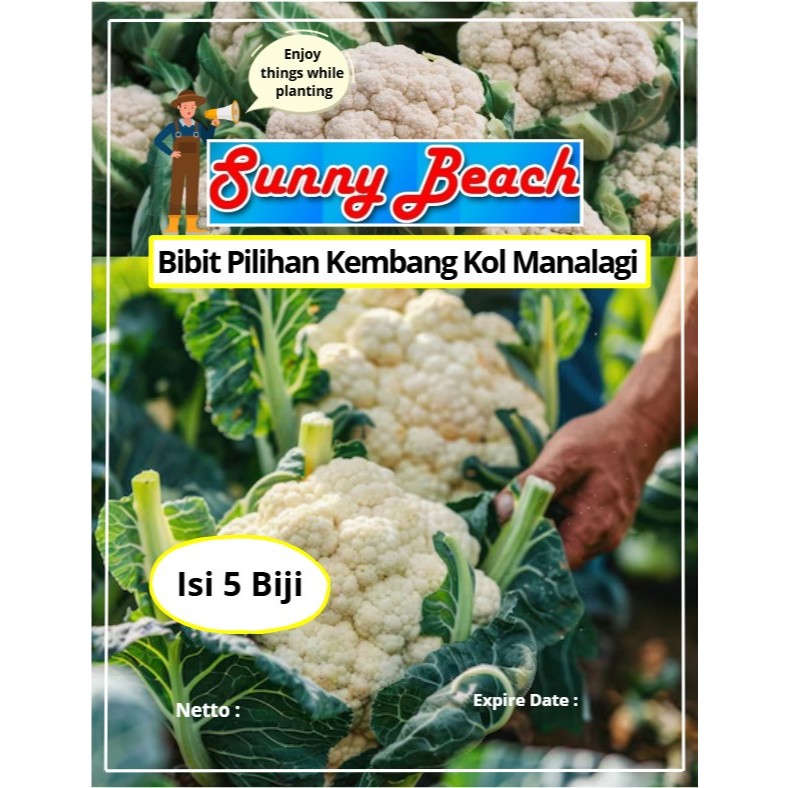 Bibit Pilihan Kembang Kol Manalagi | Biji Benih Kembang Kol Manalagi | Kol