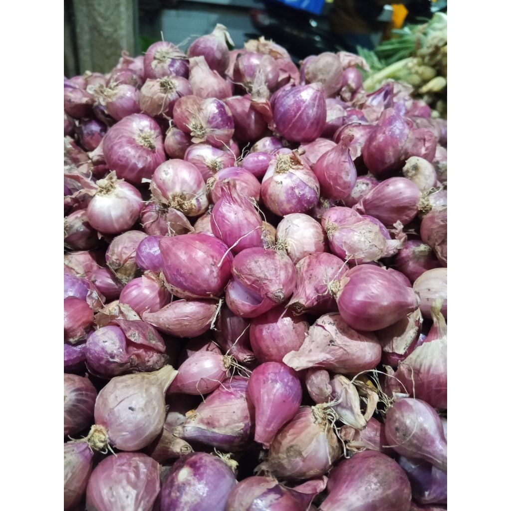 

Bawang merah segar| Bawang merah bumbu Dapur wajib|