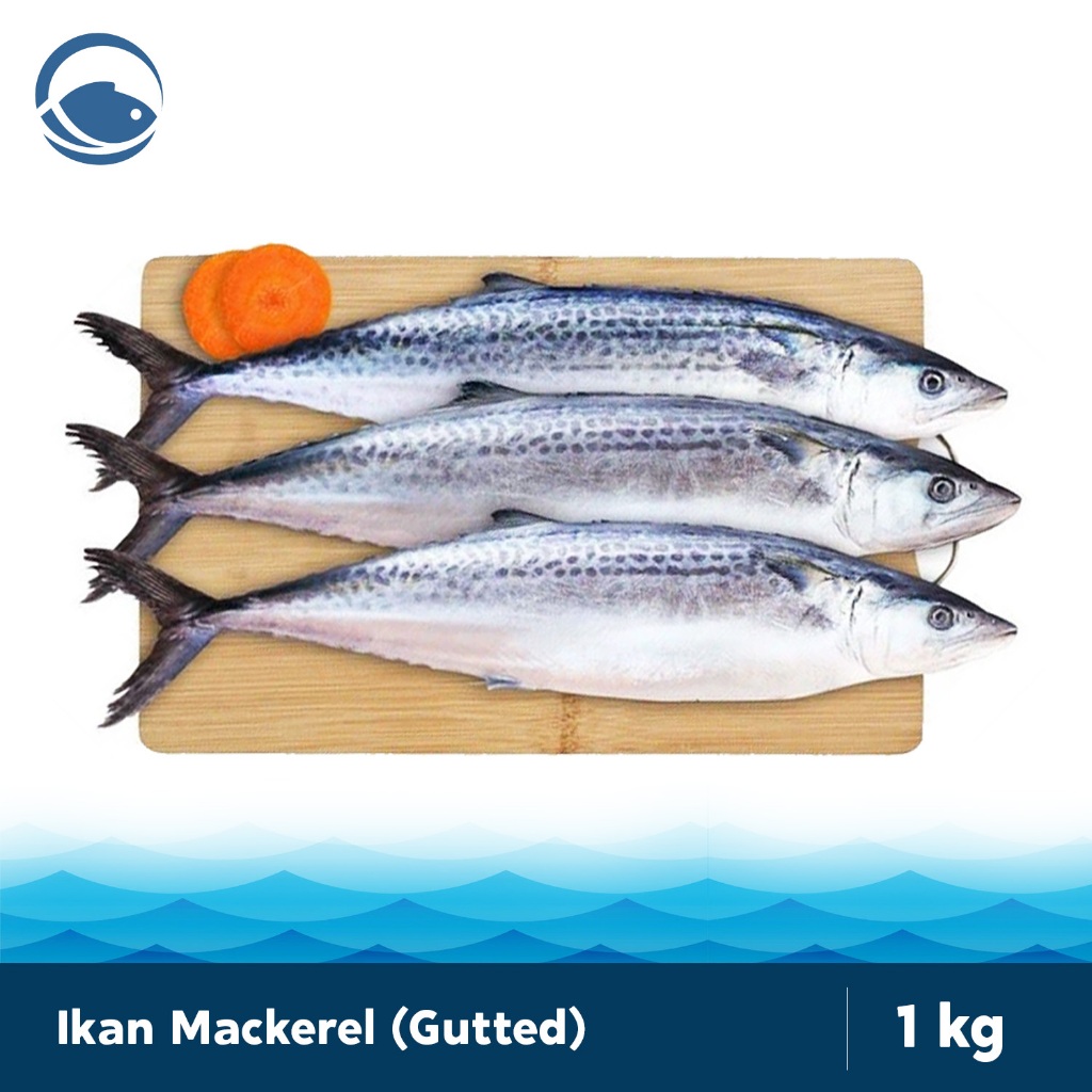 

Ikan Mackerel (Gutted) MakereI Bersih Isi Perut Wild Caught Fish Omega Premium Segar