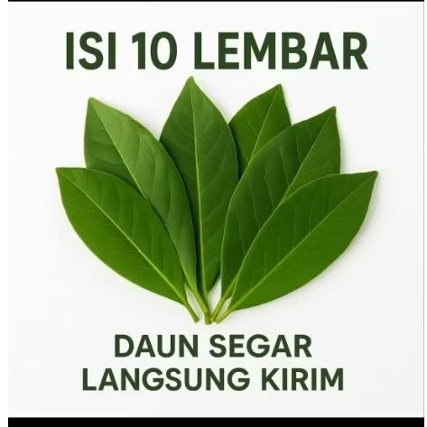 

Daun Salam Segar Isi 10 Lembar – Wangi, Fresh – Bumbu Masakan