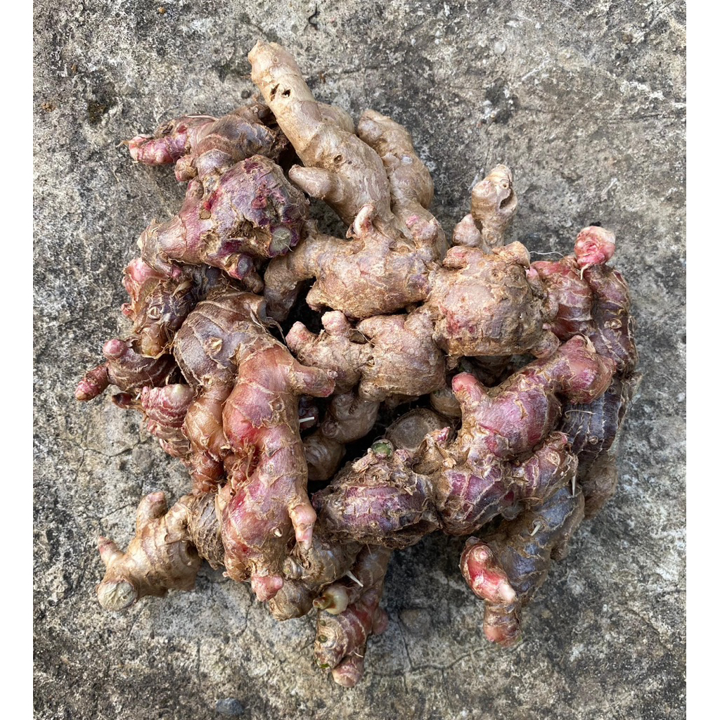 

JAHE MERAH RIMPANG REMPAH 1KG