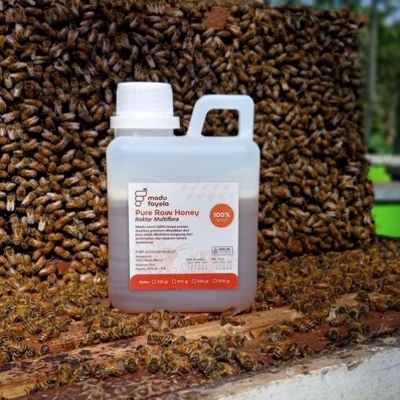 

Madu Fayola | Madu Multiflora 500 gram