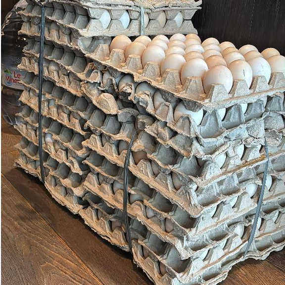 

Telur Ayam Kampung Omega Oren - 10 Tray (300 butir)