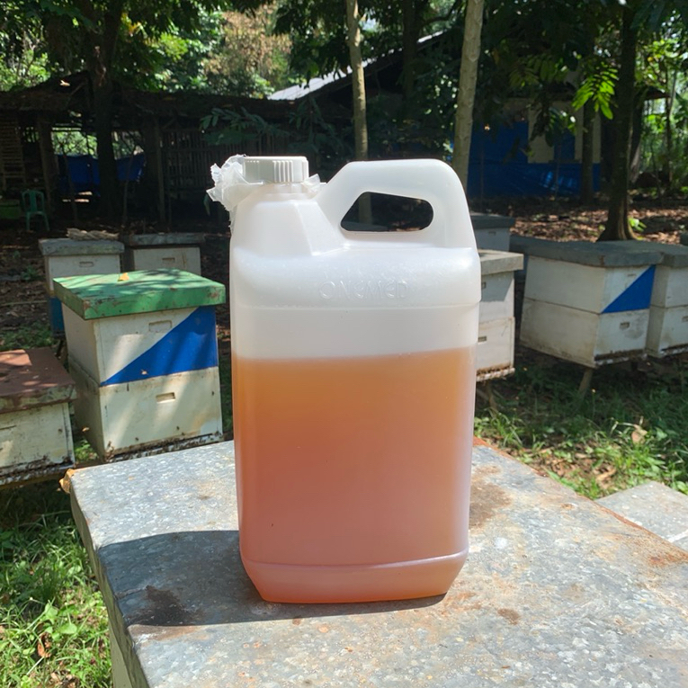 

MADU HUTAN LIAR SUPER ASLI MURNI 100% KUALITAS TERBAIK