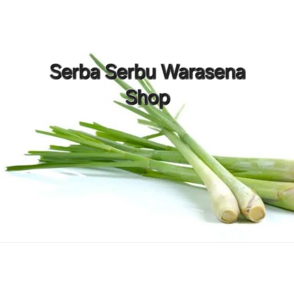 

Sereh/serai obat tradisional,bumbu pasak per 200 gr
