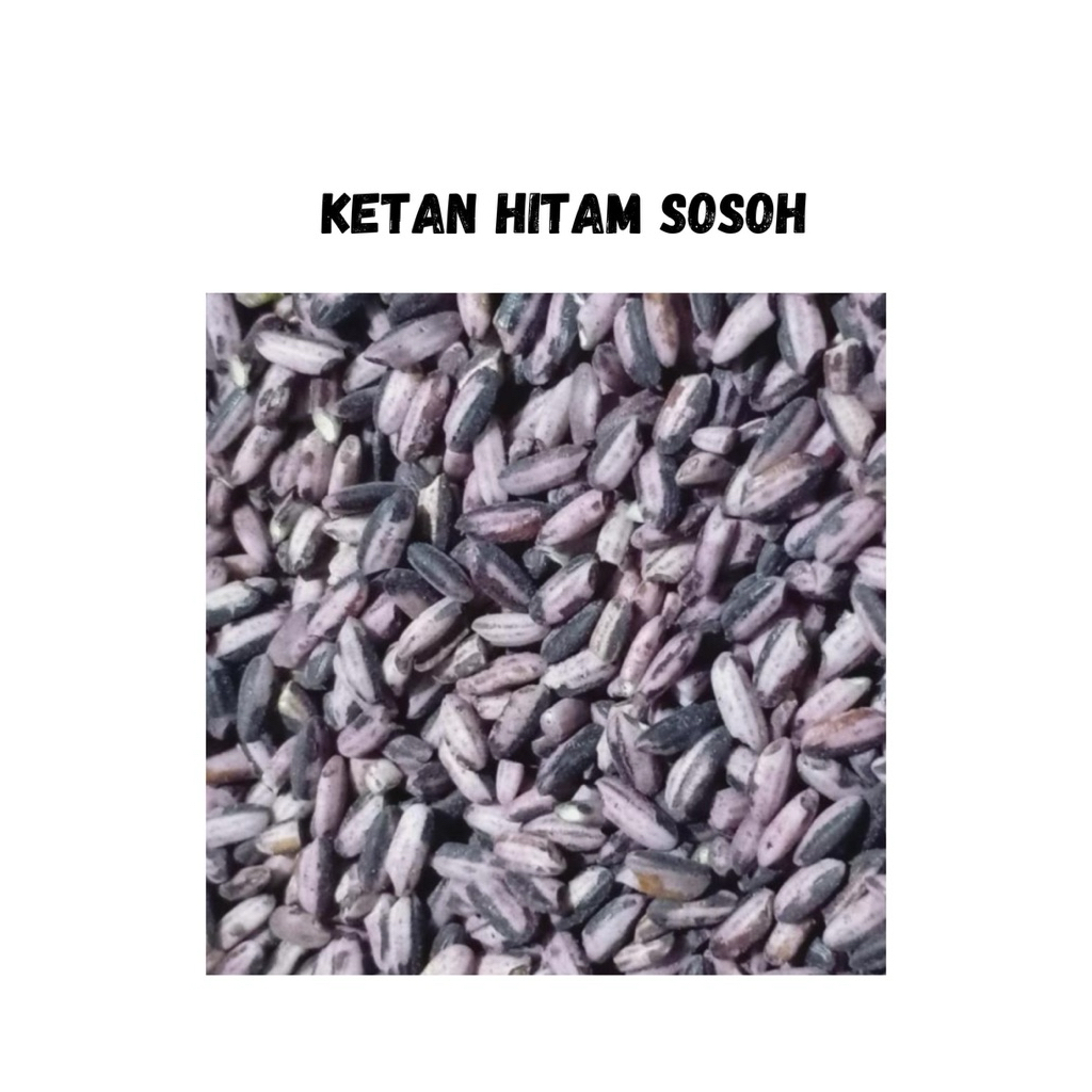 

Ketan Hitam Sosoh Asli Promo!!! Murah Meriah