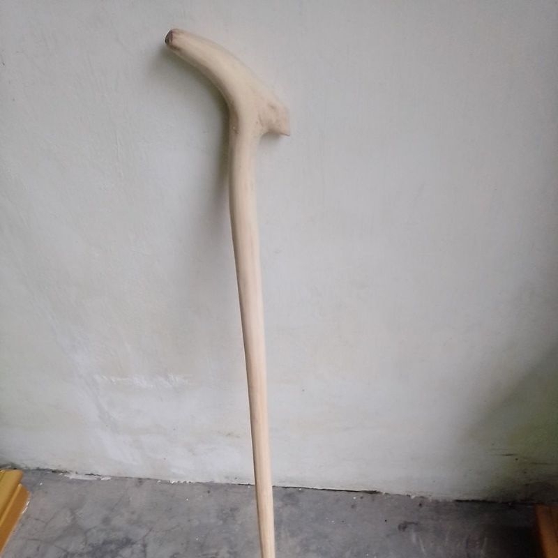Tongkat kayu Walikukun Unik