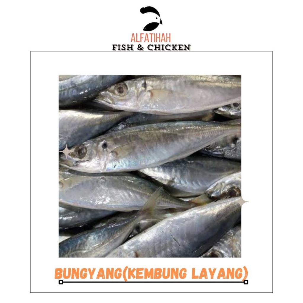 

Bungyang (kembung Layang)