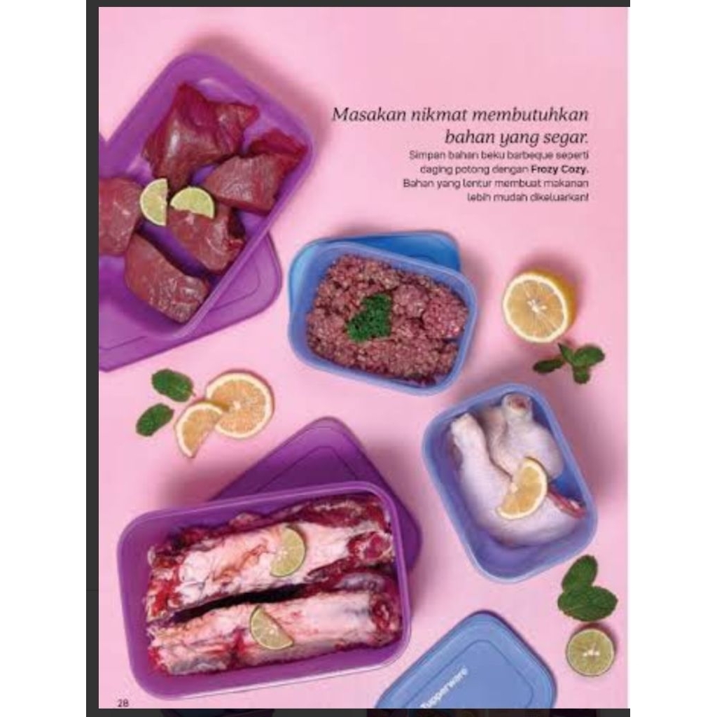 frozy cozy (tempat frezer) tupperware