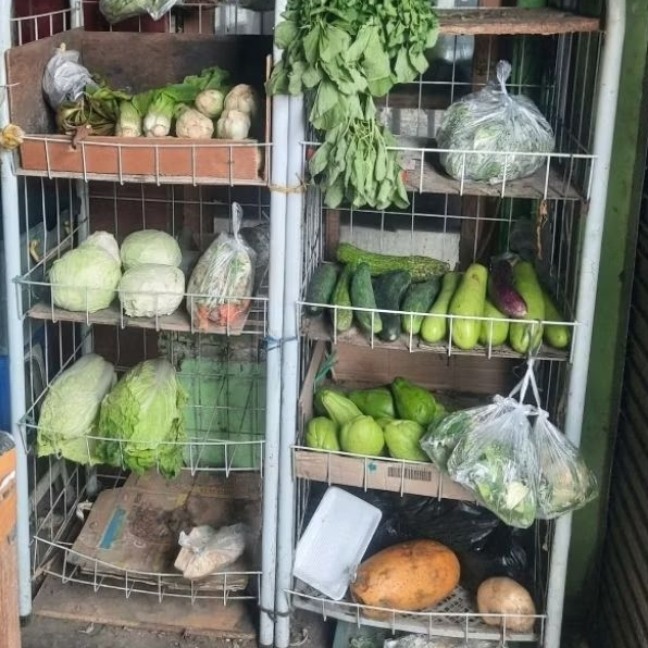 

Mentimun, timun, atau ketimun (Cucumis sativus)