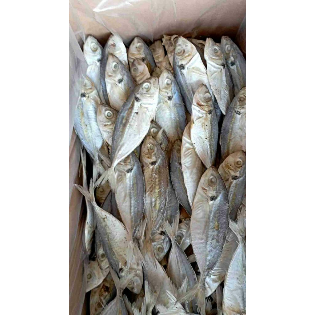 

IO - ikan peda japuh besar 250g by pasar Tasik online