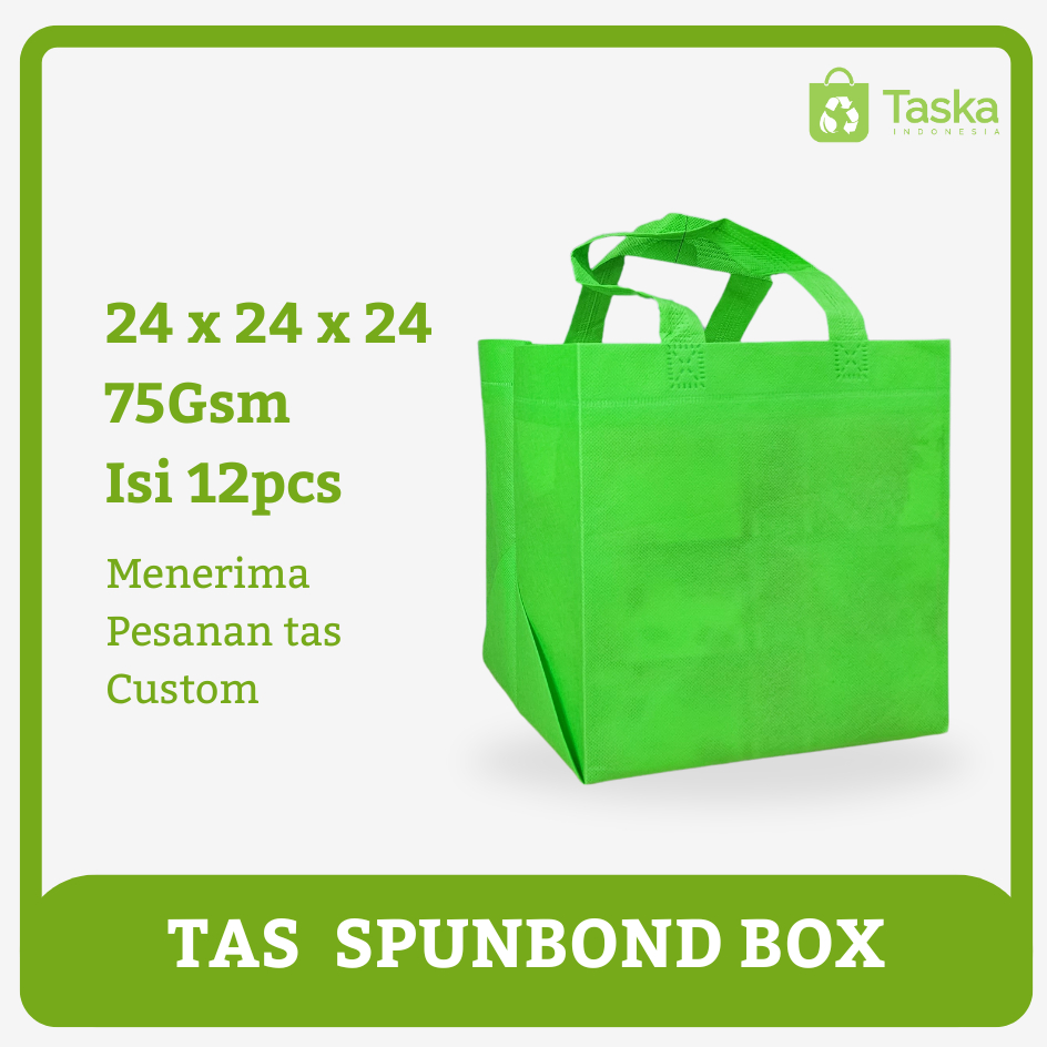 

Taska - Goodiebag Spunbond Box 24x24x24 Warna Hijau Muda Harga Satuan Grosir Tas Box Kue