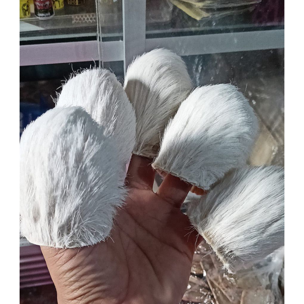 Kantong Macan Putih Asli Kulit Kualitas premium