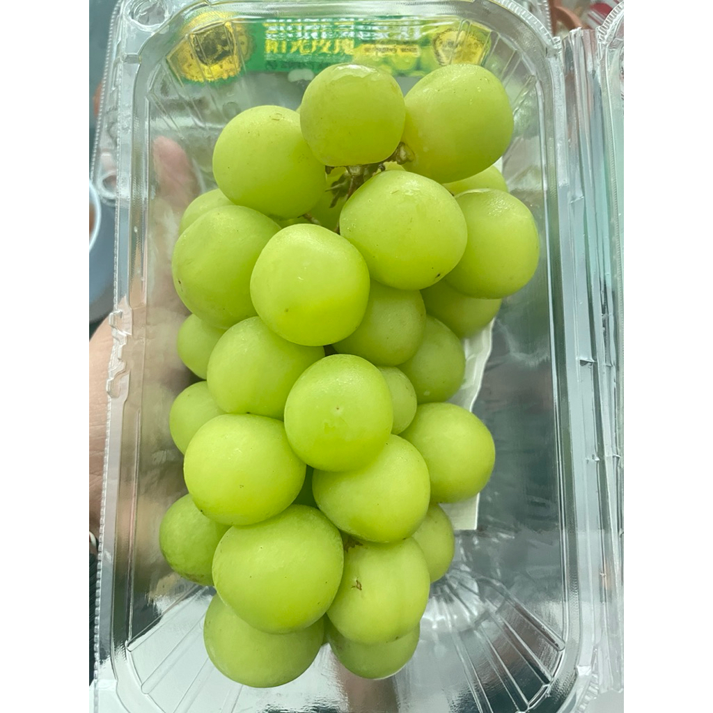 

ANGGUR MUSCAT PACK