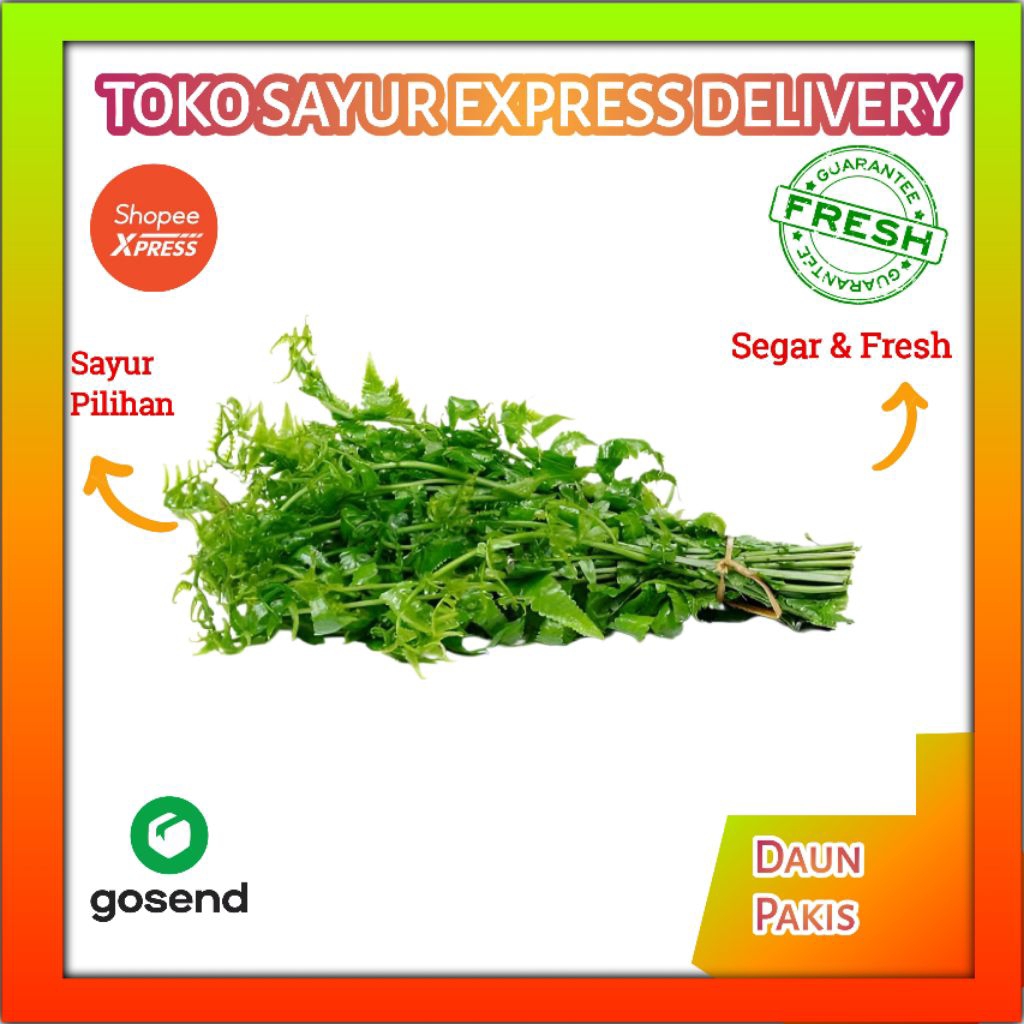 

Sayur Daun Pakis Fresh - Palembang