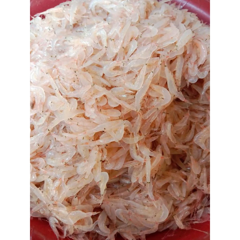 

Rebon Udang Baby Laut RJ Fish 500gr