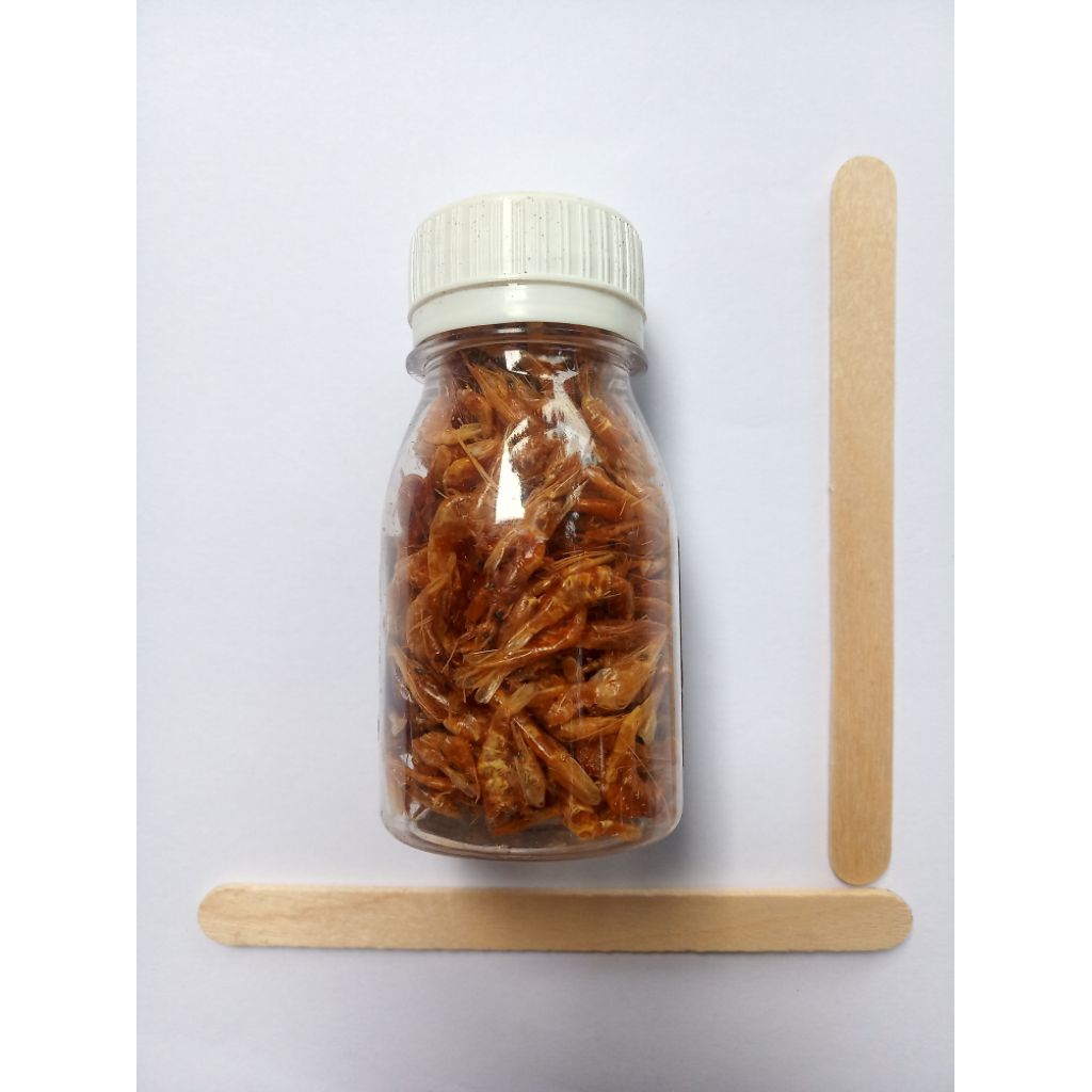 

Udang kecil rawa kering