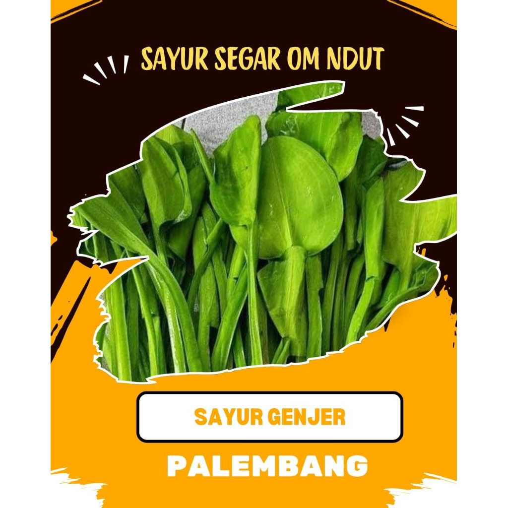 

SAYUR GENJER PER IKAT - INSTAN PALEMBANG