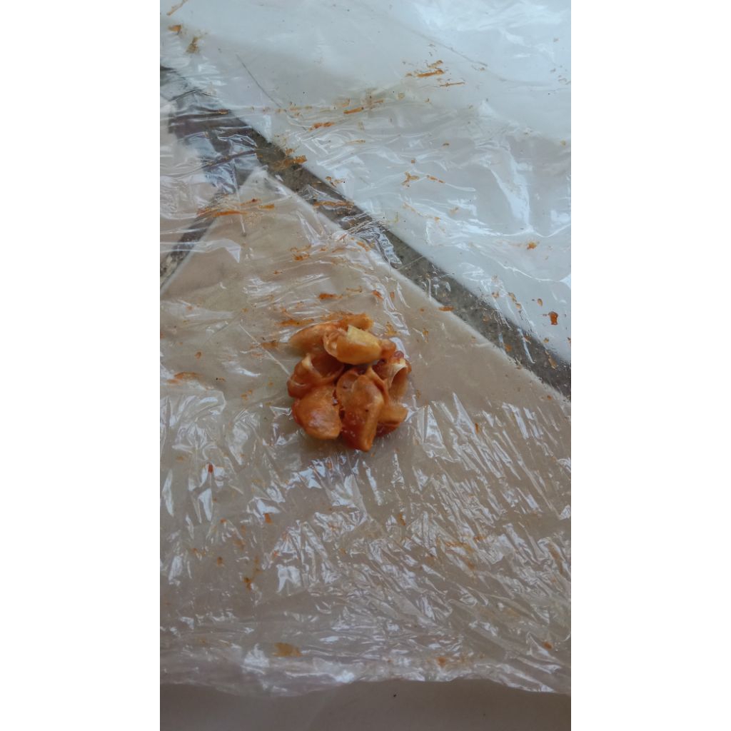 

asem jawa tanpa biji