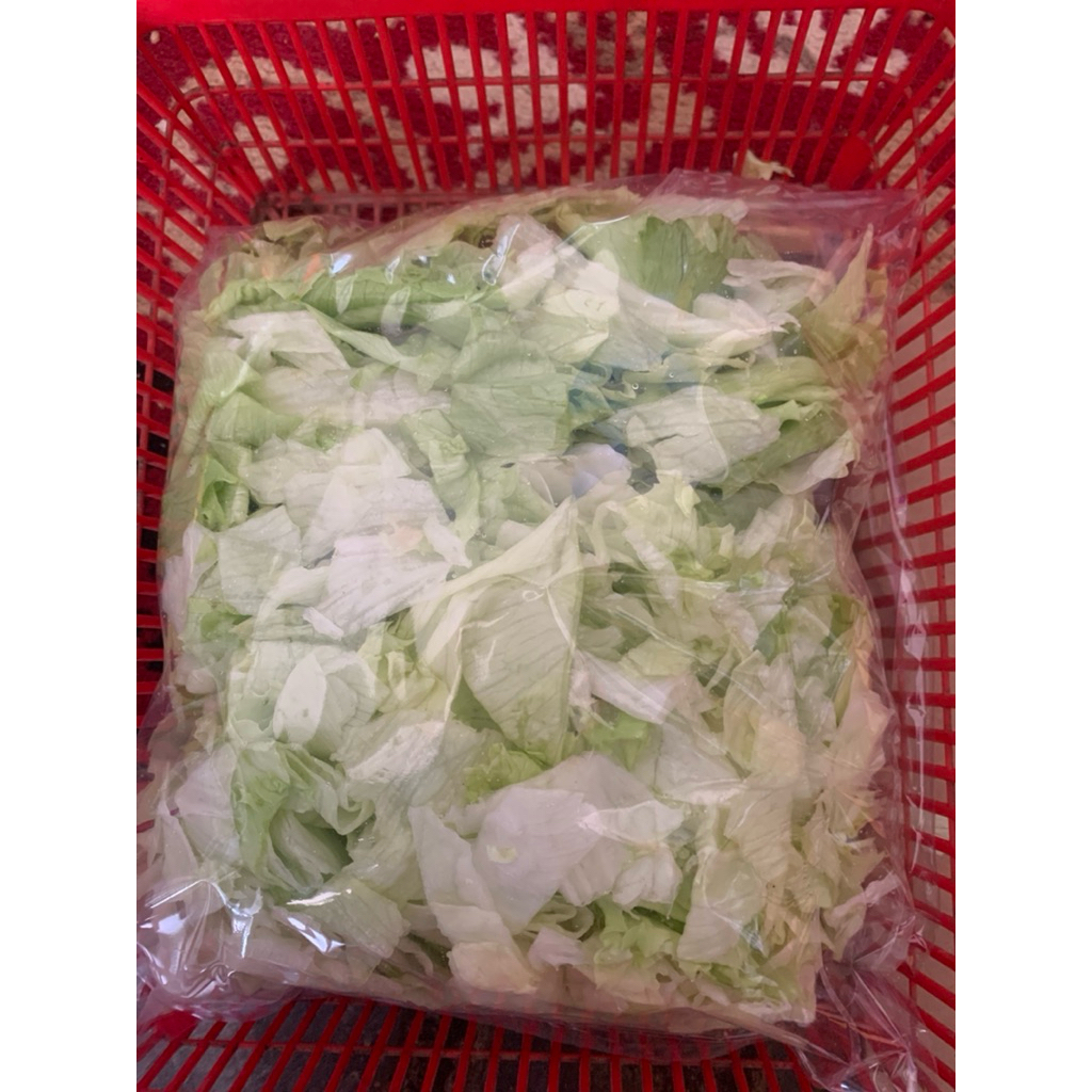 

Iceberg Lettuce Pack 500gr / Lettuce Praktis / Sayuran Segar / Sayuran Organik