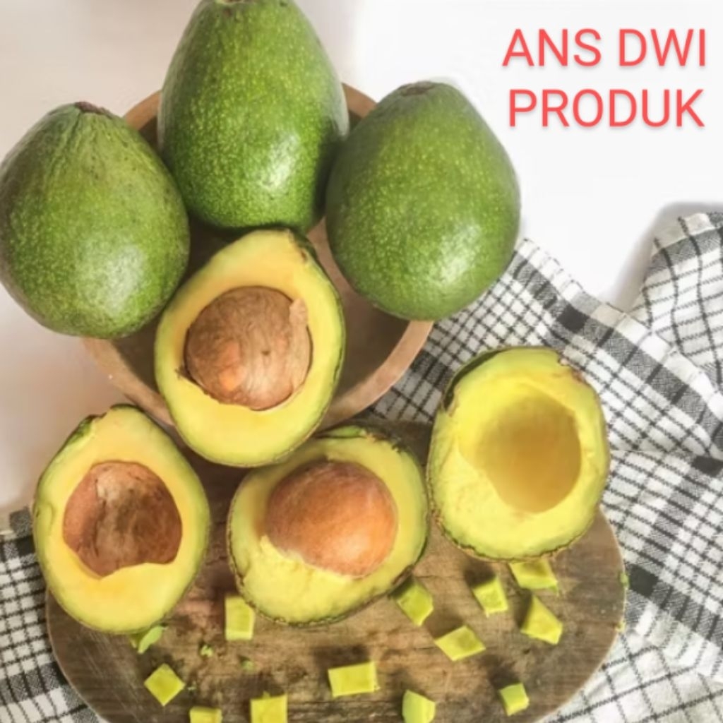 

[GARANSI] NEW PROMO ALPULAT MENTEGA REGULER 1 KG TERMURAH