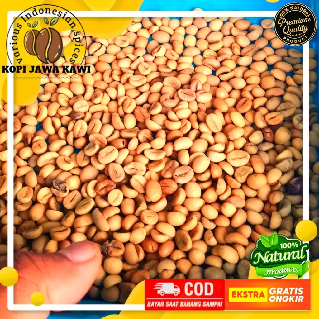 

Biji Kopi Green Bean Natural Robusta Premium 100% Coffee Tua Super Full Washed Gunung Kawi 500g