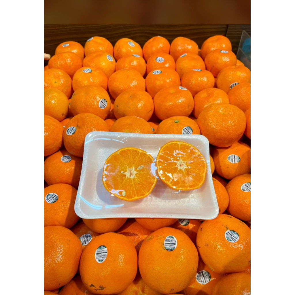 

Jeruk Murcot Empres Ausi | Jeruk Hony Murcot Manis Sedikit Asam 1 Kg