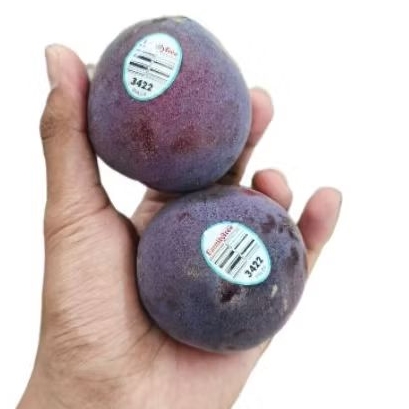 

Buah plumcot buah plum flavor super premium import USA fresh 1 kg