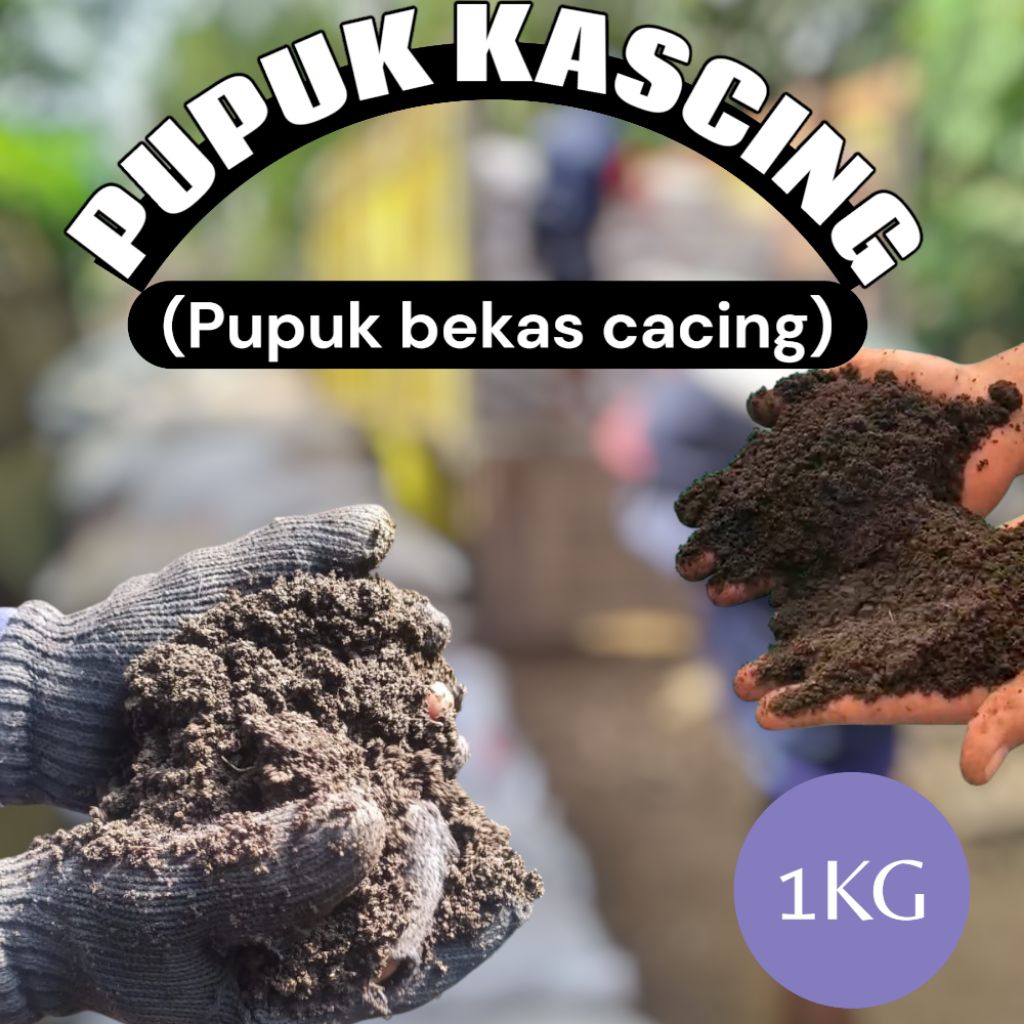 PUPUK KASCING1/2kg KERING, PUPUK TANAMAN 1kg , PUPUK BEKAS KOTORAN CACING