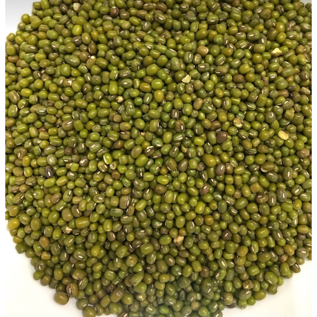 

Kacang Hijau Lokal Tegal