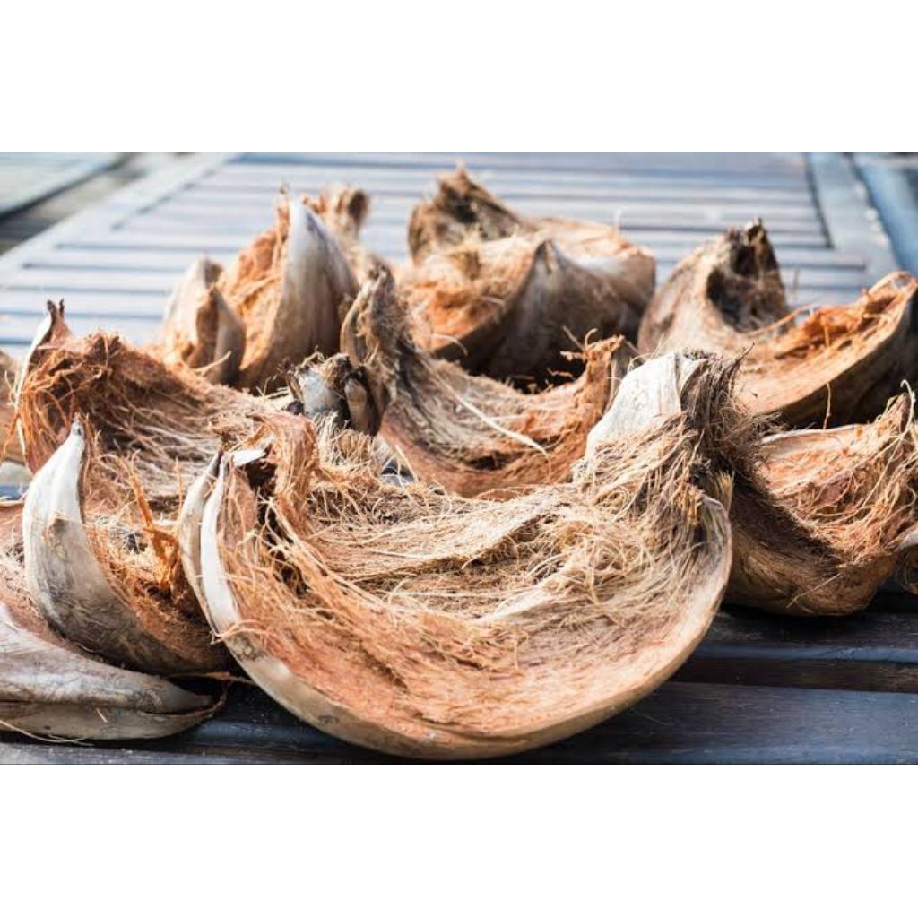 SABUT KELAPA, MEDIA TANAM PREMIUM