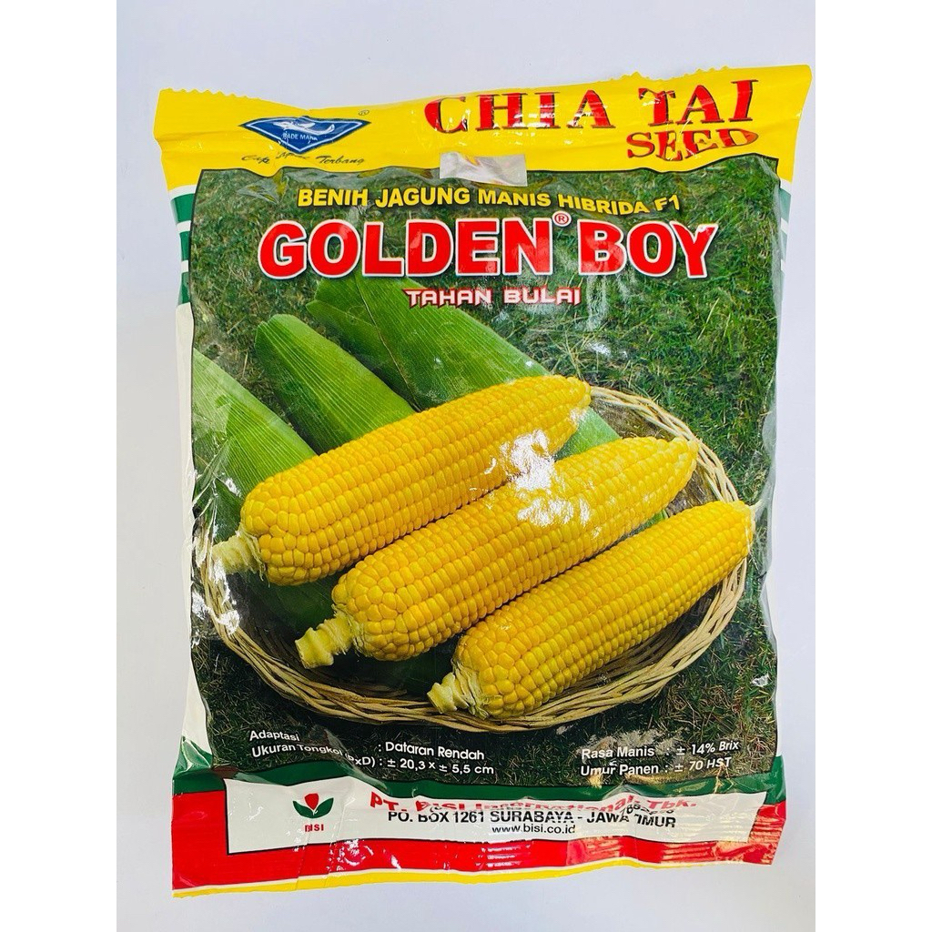 

bibit Jagung Manis Golden boy 250gr