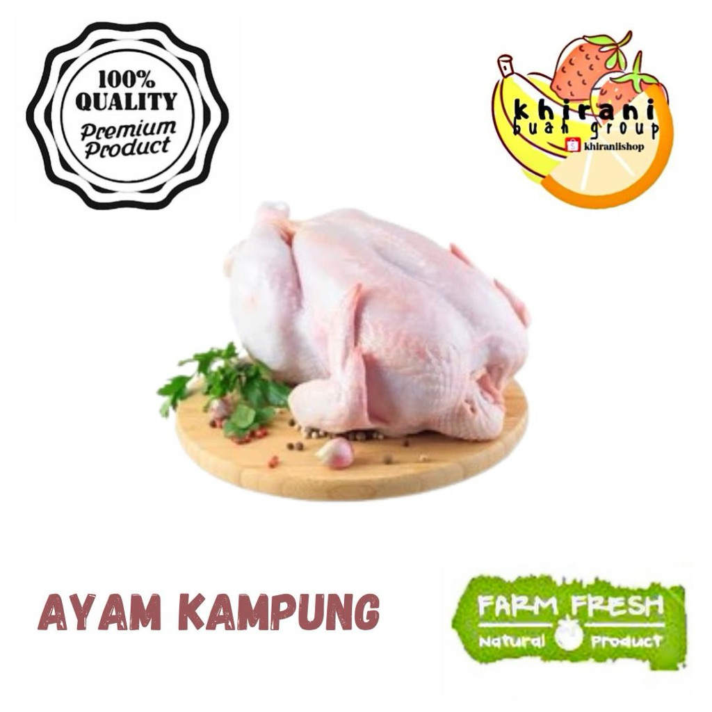 

Frozen Food - Ayam Kampung & Paha Ayam Negeri
