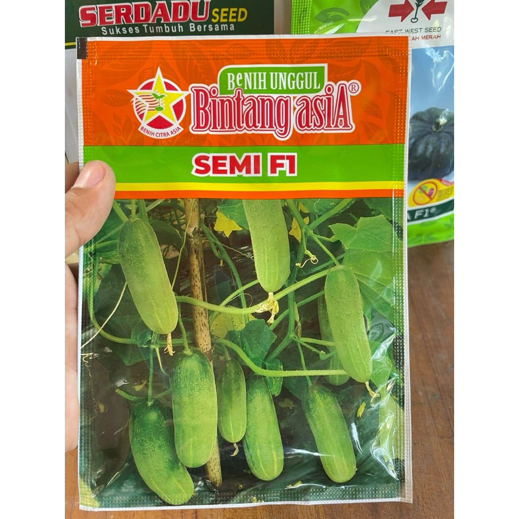 Benih Mentimun Unggul Semi F1 20 GR