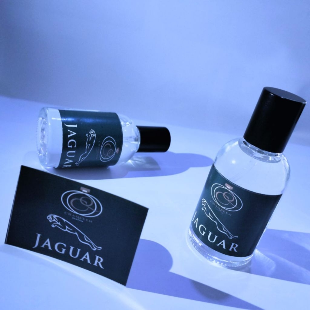 PARFUM JAGUAR VISION