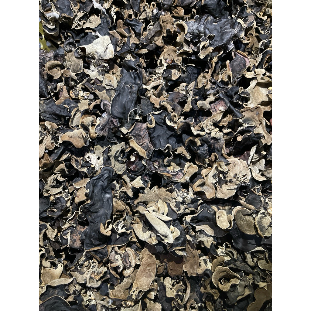 

Jamur kuping kering 1 kg mix grade food mushroom