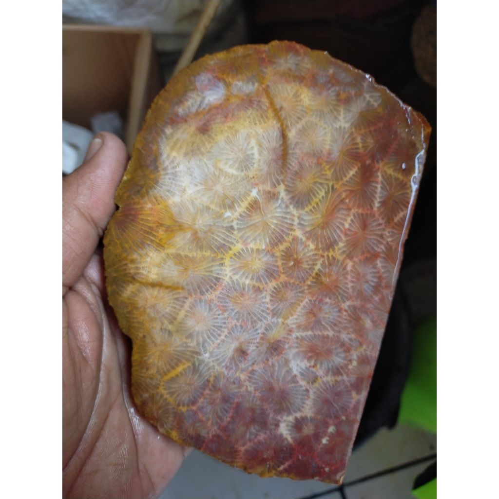 batu bahan natural serat teratai lipan