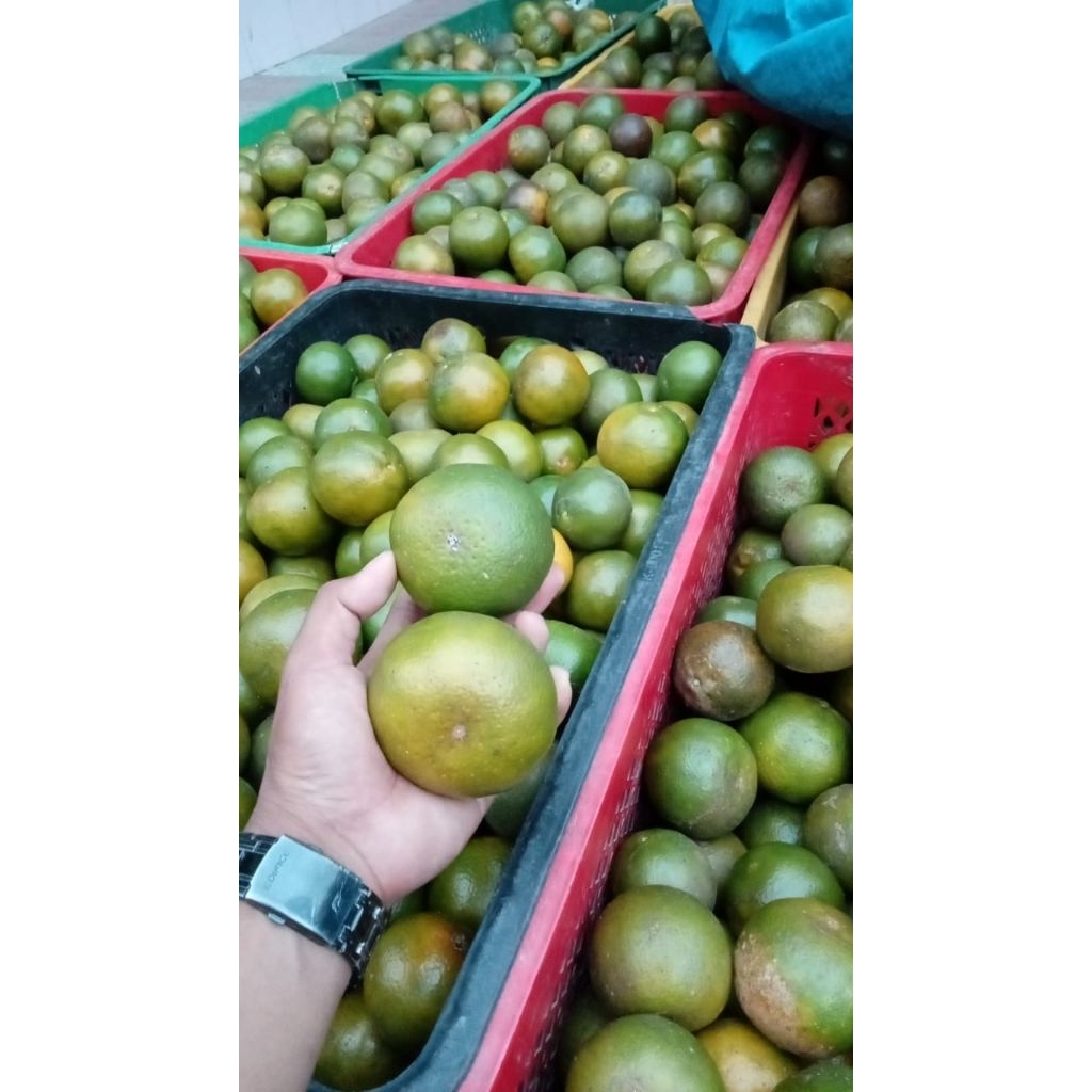 

jeruk Semboro/ jeruk bw 1 kg rasa jamin manis