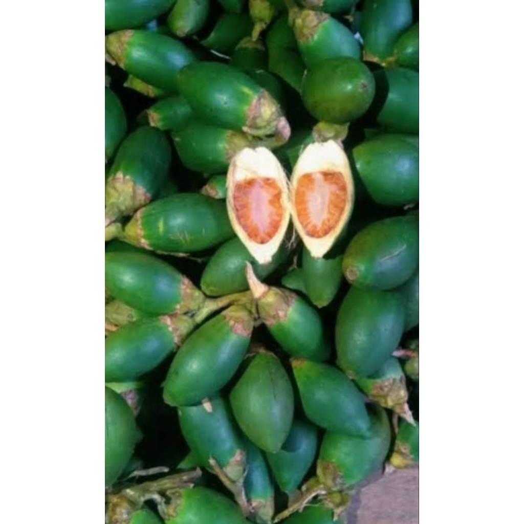 

Buah pinang/jambe muda