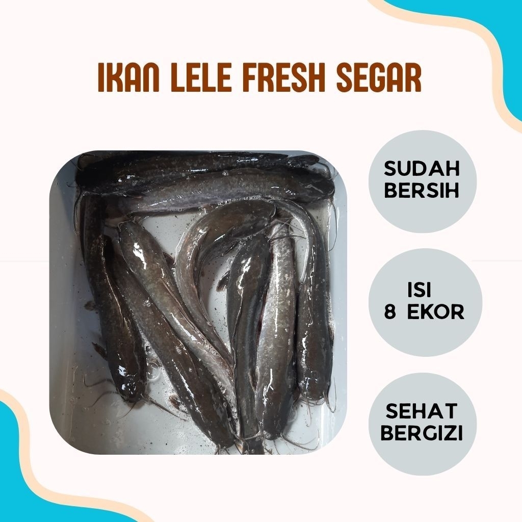 

Jual Ikan Lele Fresh Segar 1kg