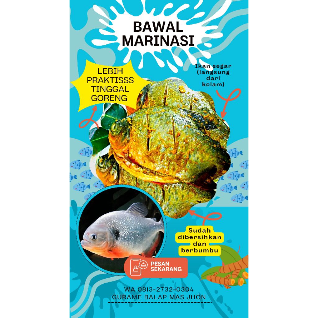

Ikan marinasi / Nila / Patin / Lele / Bawal / Bandeng presto / lauk simple / tinggal goreng / frozen food