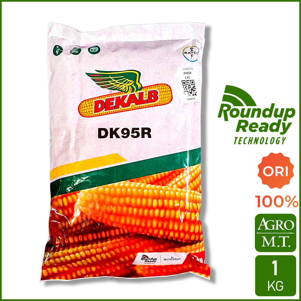 DEKALB DK95R (1KG) Benih Jagung Hibrida Tahan Roundup - BAYER