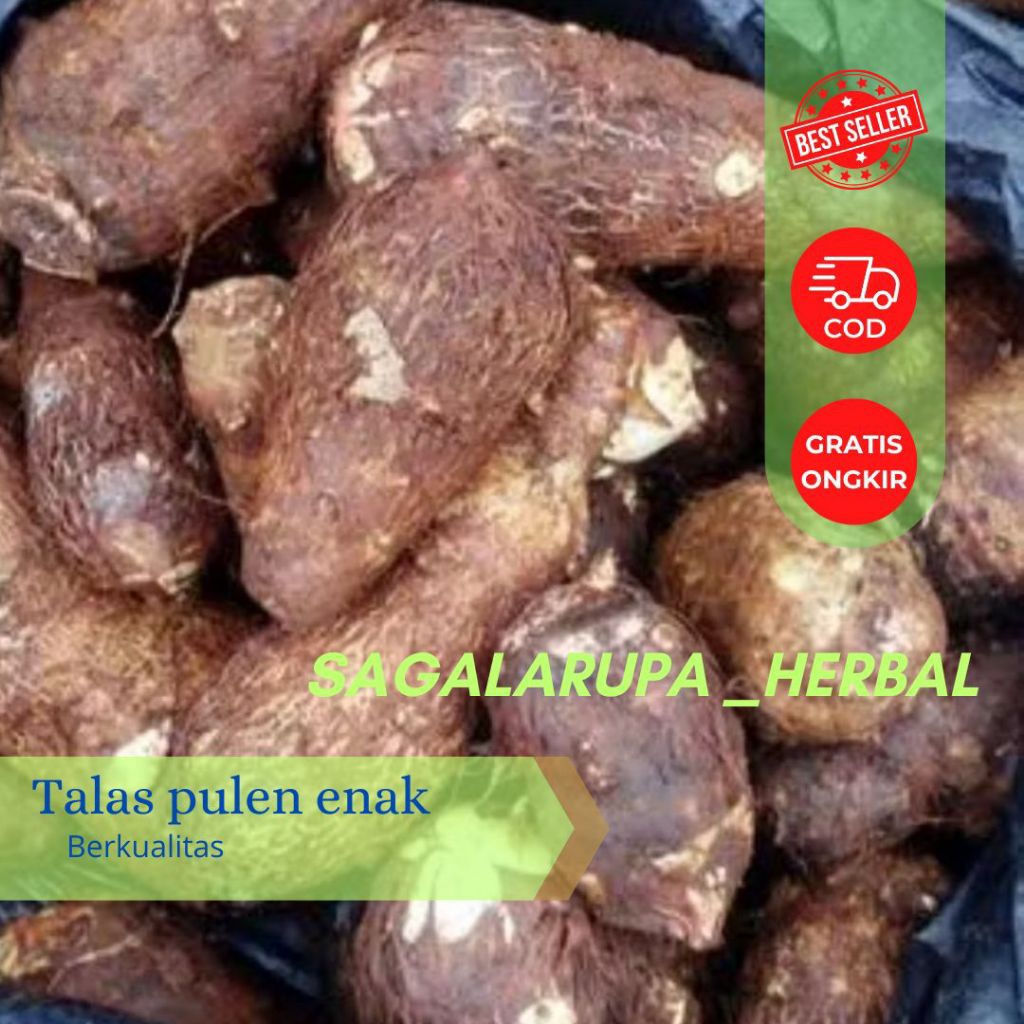 

UBI TALAS PULEN SEGAR FRESH 1 KG