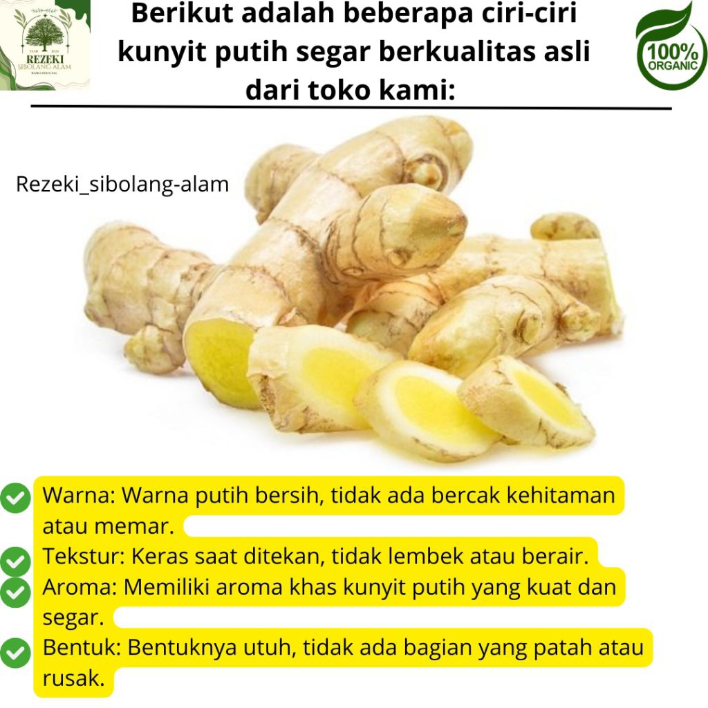 

Kunyit putih segar 1 kg fresh segar / bersih / Temu putih di ambil langsung dari kebun